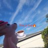 EaBland's profile picture