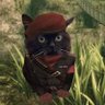 Paweł Sk's profile picture