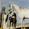 Фото профиля حزام الدهمشي