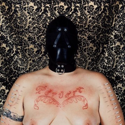 chckn strths's profile picture