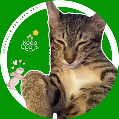 🪽angel tulip green team💚🤍's profile picture