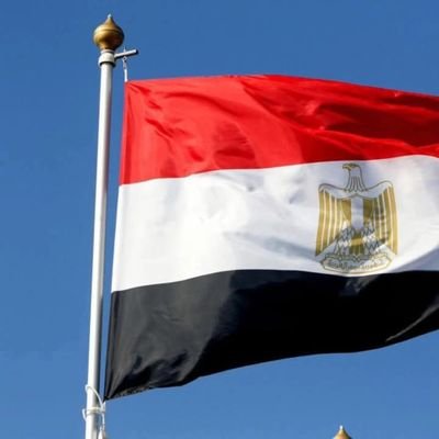 elalearaab1's profile picture