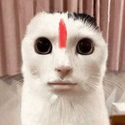 Sunil_Goriya's profile picture