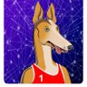 Apto profil fotoğrafı
