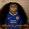 Profilbild von ali