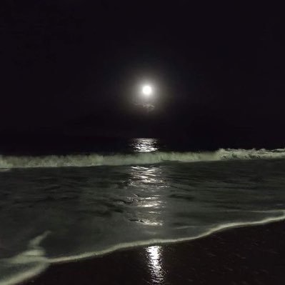 1msql's profile picture