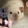 Profilbild von 正牌薄荷爽肤水