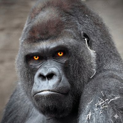 C_A_G0101's profile picture