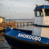 SHOKOGBO's profile picture