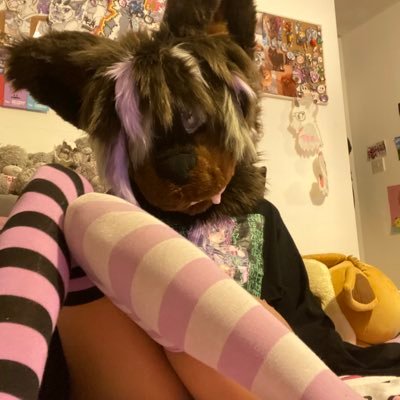 CoffeeDestroyss's profile picture