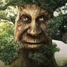 Profilbild von Tão querendo me.dar de.murro.júnior