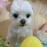 みやちゃん's profile picture