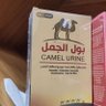 Ahmed Mody 的头像