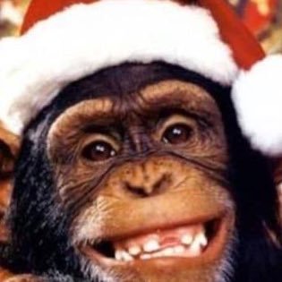 nalf's profile picture