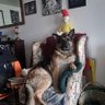 Heidi's Mom's profile picture