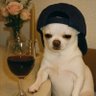 Profilbild von Junior