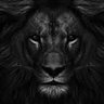 Profilbild von Scar 🇺🇸