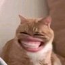 mwehehehe 的头像