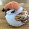 ドレッドノート 的头像