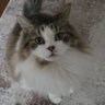 Фото профиля Andy