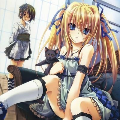 yl_baizhi's profile picture