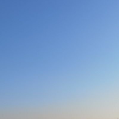 xiolng88226973's profile picture