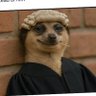 Profilbild von Melusi622