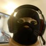 Casual Chaos 的头像