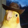 blerpnoop's profile picture