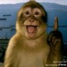 Kapten amerika's profile picture