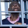 Niwagaba Gracious Turyamureba profil fotoğrafı
