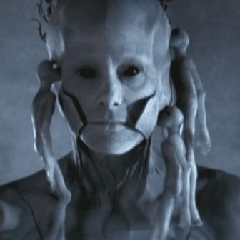 Camel6561's profile picture