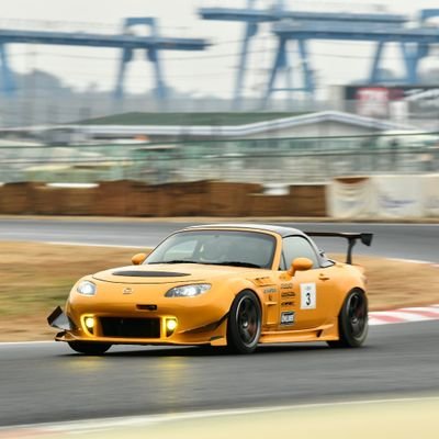 tatsu_nyan's profile picture
