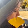 茜小主's profile picture