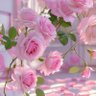 Фото профиля انتهى المشوار ٣