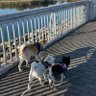 カナ profil fotoğrafı