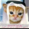 Фото профиля Imran Lovinggemksa