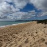 Фото профиля sparah🇦🇺🌴