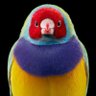 Andrikelos® profil fotoğrafı