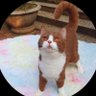 NathanX65807 的头像
