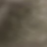 Profilbild von kaliop