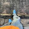 San_Tos🧑💻🌏 profil fotoğrafı