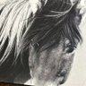 HorseyMcHorseFace's profile picture