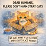 Kodahcat01 的头像