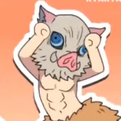 🕊️(ノ｀⌒´)ノiDiN™'s profile picture