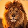 Chander S profil fotoğrafı