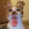 brebreboo 的头像