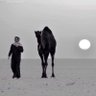 مبارك العارضي's profile picture