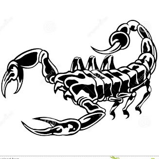 vombatos777's profile picture