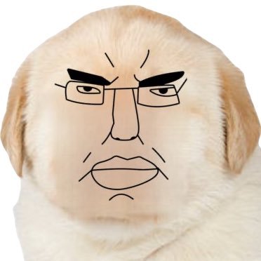 GutoVG's profile picture